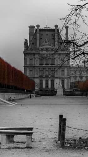 School Louvre Palace, Paris