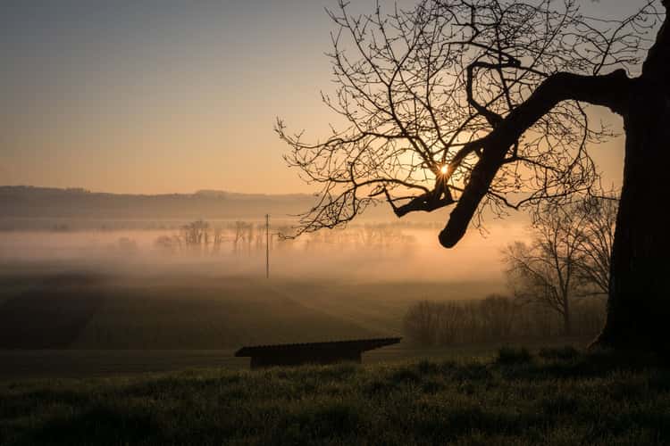 Sonnenrain