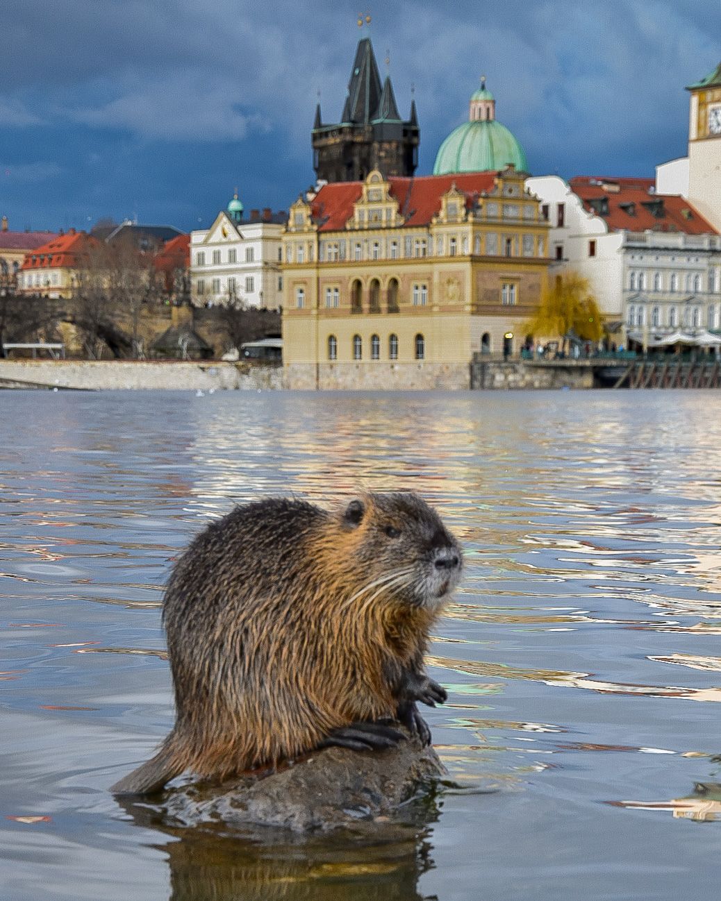 Střelecky Ostrov/Shooter's Island , Prague, Czech Republic