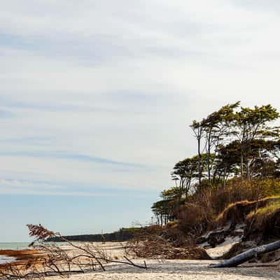 Strand bei Prerow an der Ostsee, Germany