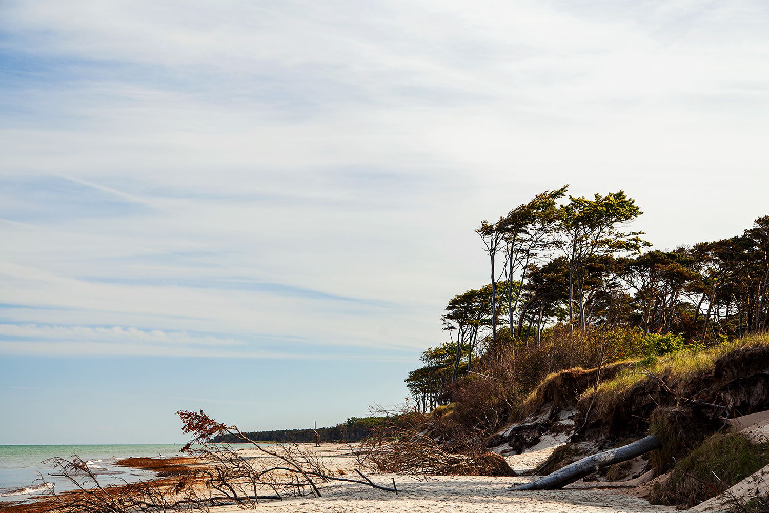 Strand bei Prerow an der Ostsee, Germany