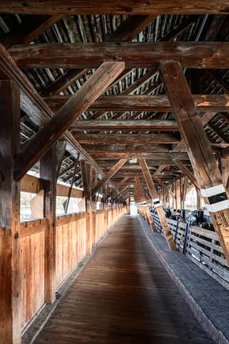 Thun Bridge