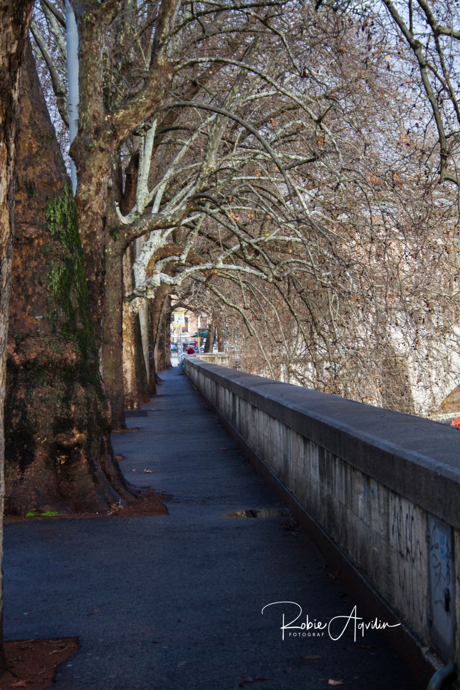 Tiber river, Italy