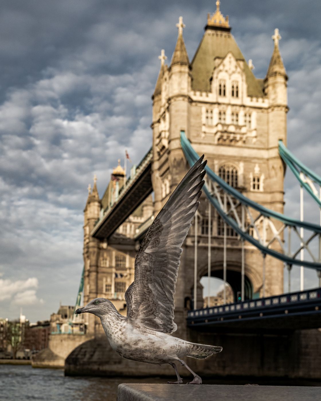 Tower Bridge southview, London, United Kingdom