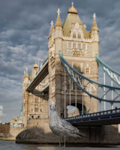 Tower Bridge southview, London