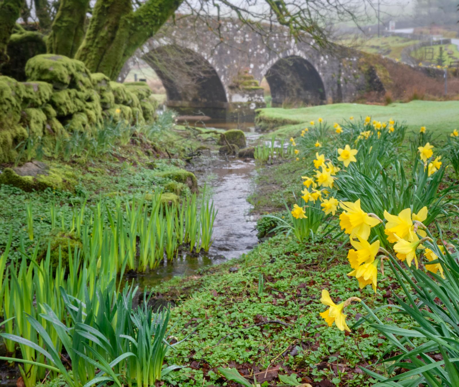 Two Bridges, United Kingdom