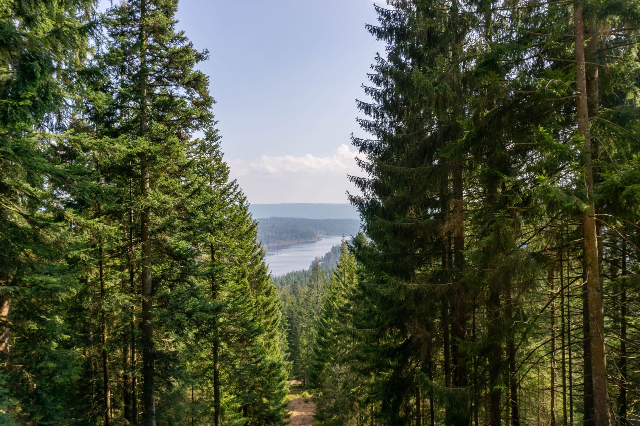 View on Schwarzenbach Talsperre, Germany