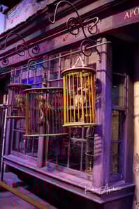 Warner Bros. Studio Tour London
