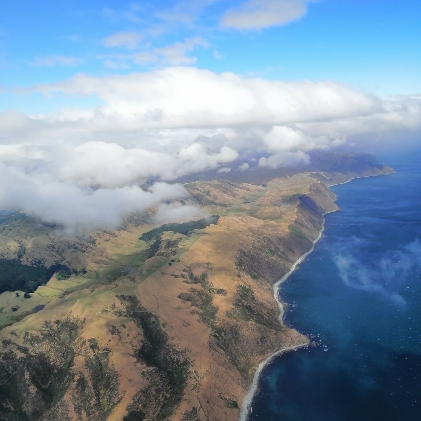 Wellington Coastline, New Zealand