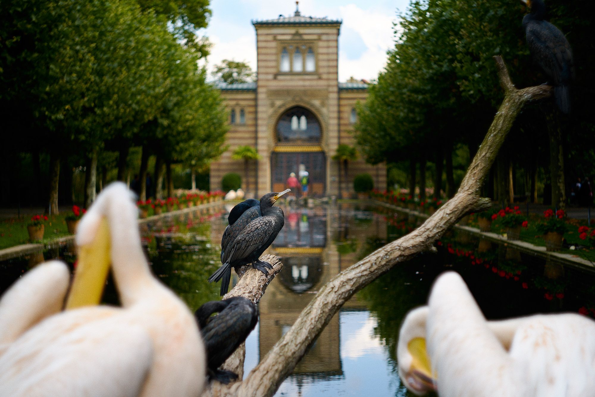 Wilhelma Zoo, Stuttgart, Germany