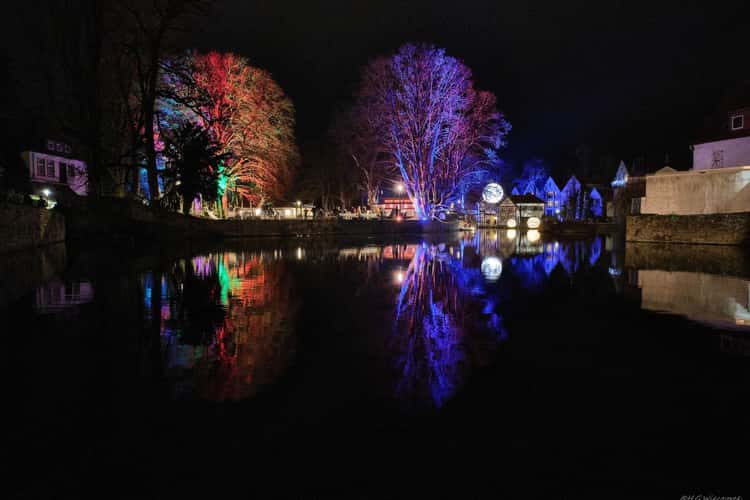 Winter Lights