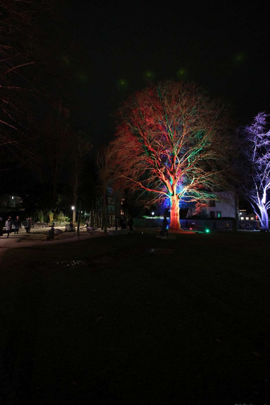 Winter Lights, Germany