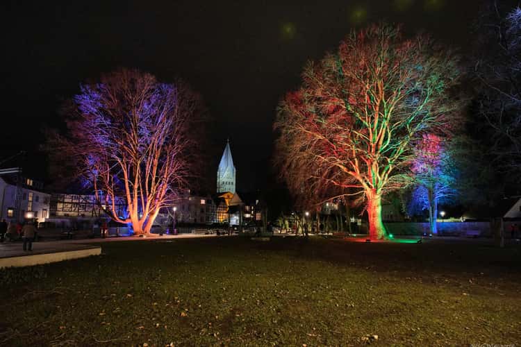 Winter Lights