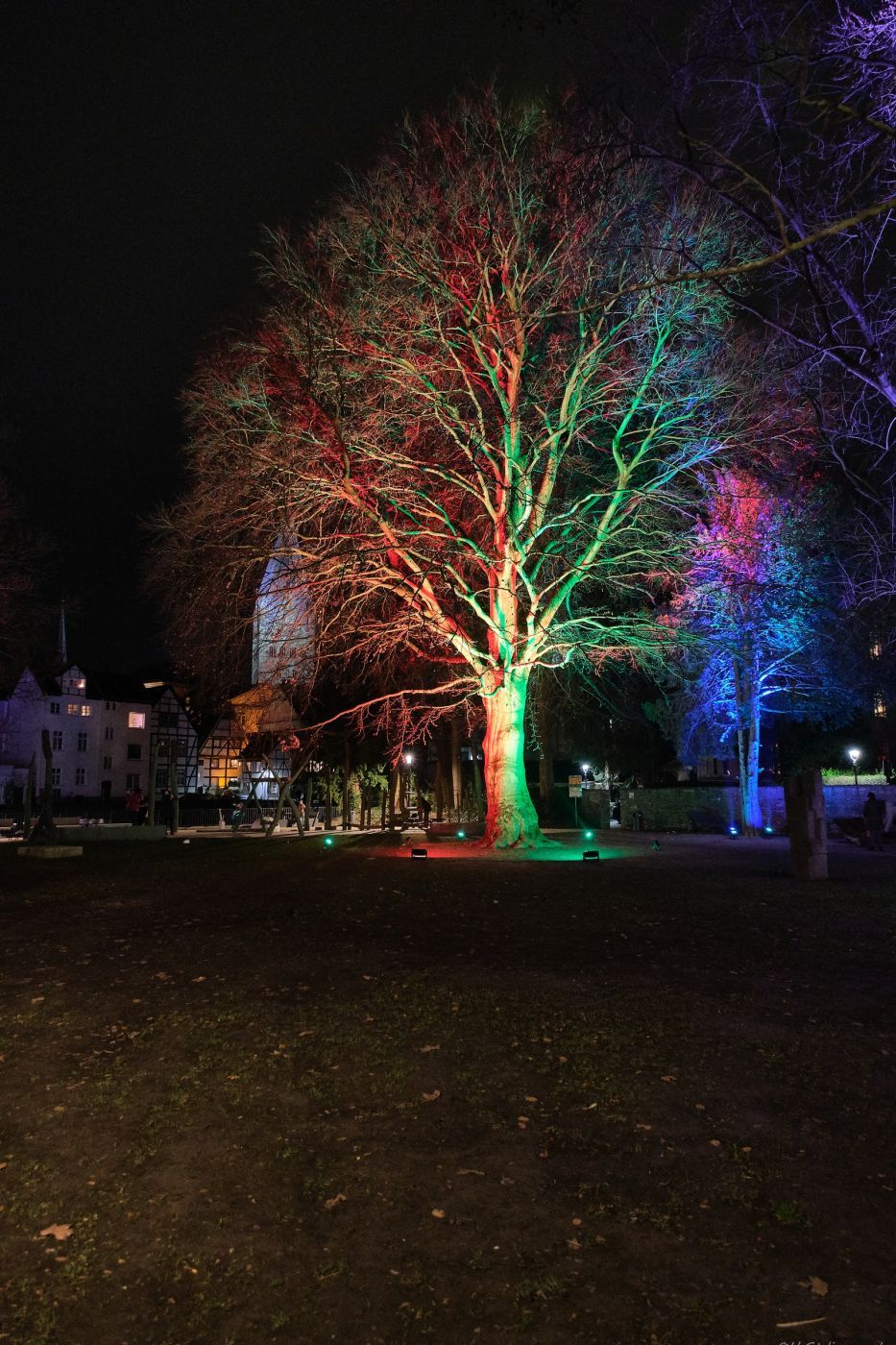 Winter Lights, Germany