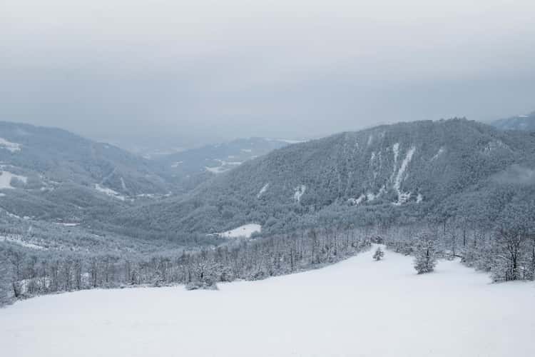 Winter Wonderland