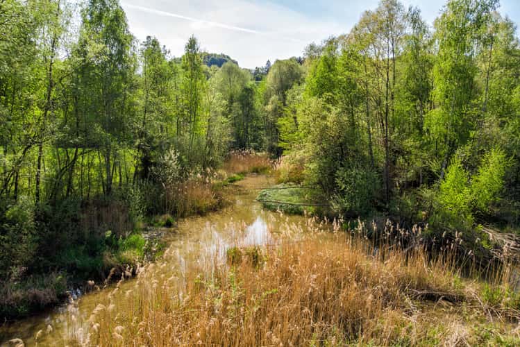 Aktivweg Enns, Dürnbach