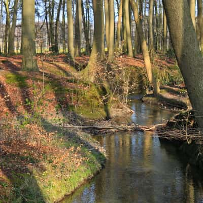 am Schlautbach, Germany