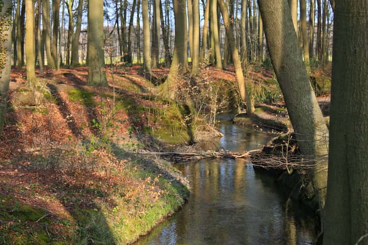 am Schlautbach