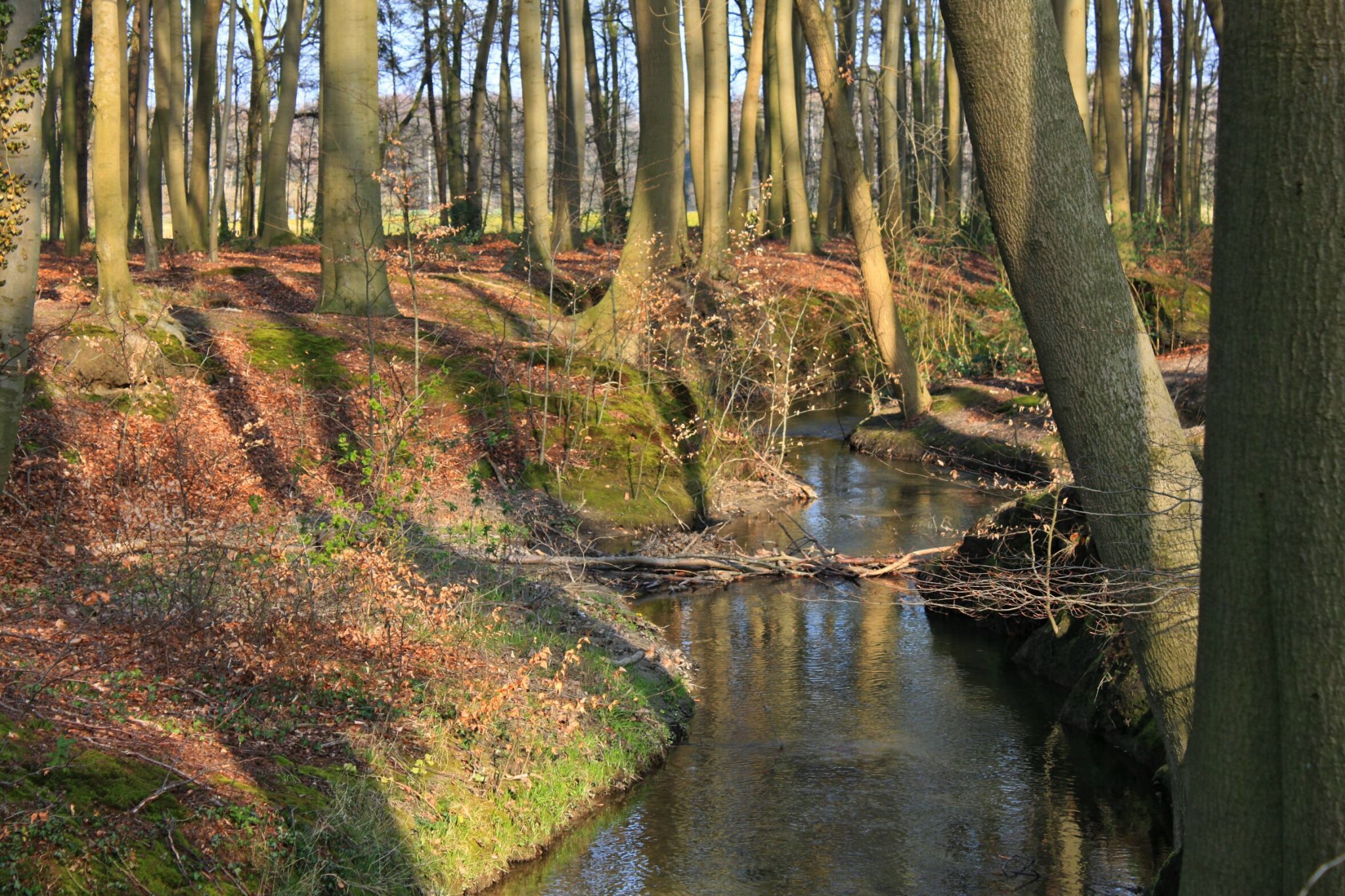 am Schlautbach, Germany