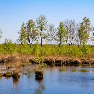 Arkeburger Moor, Germany