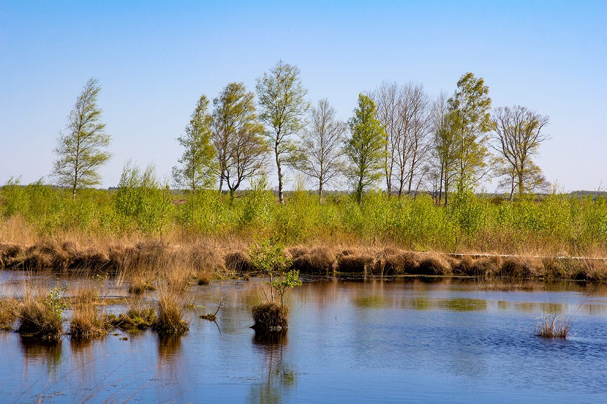 Arkeburger Moor, Germany