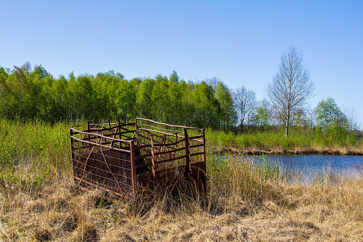 Arkeburger Moor, Germany