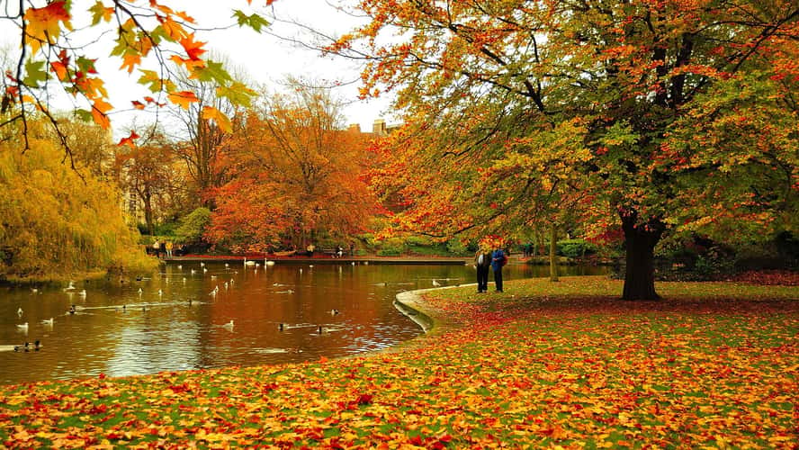 Autumn of St Stephen's Green, Dublin