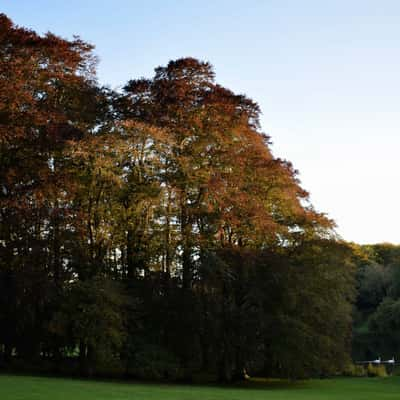 Blenheim Palace - Bladon, United Kingdom