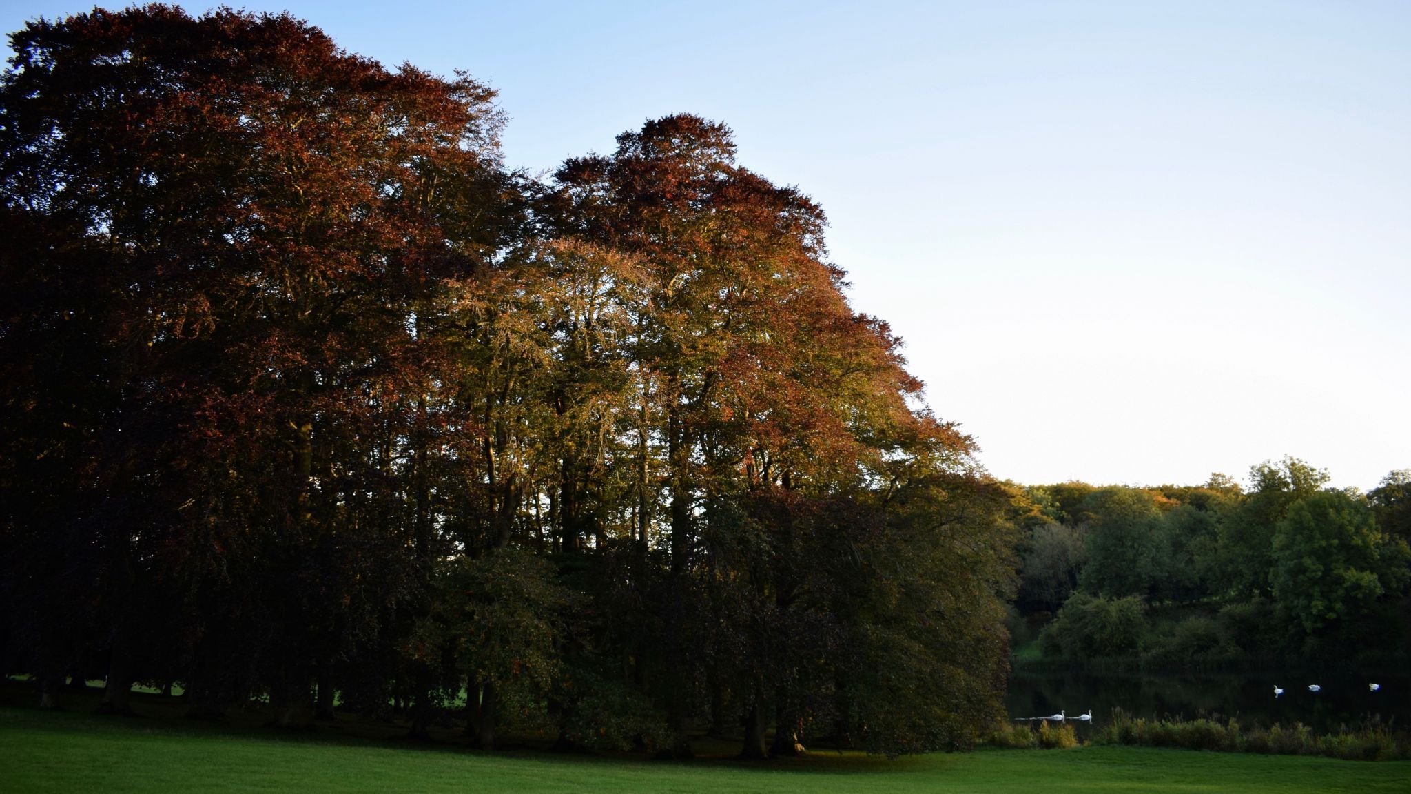 Blenheim Palace - Bladon, United Kingdom