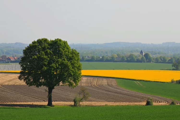 Blick von den Baumbergen auf Havixbeck