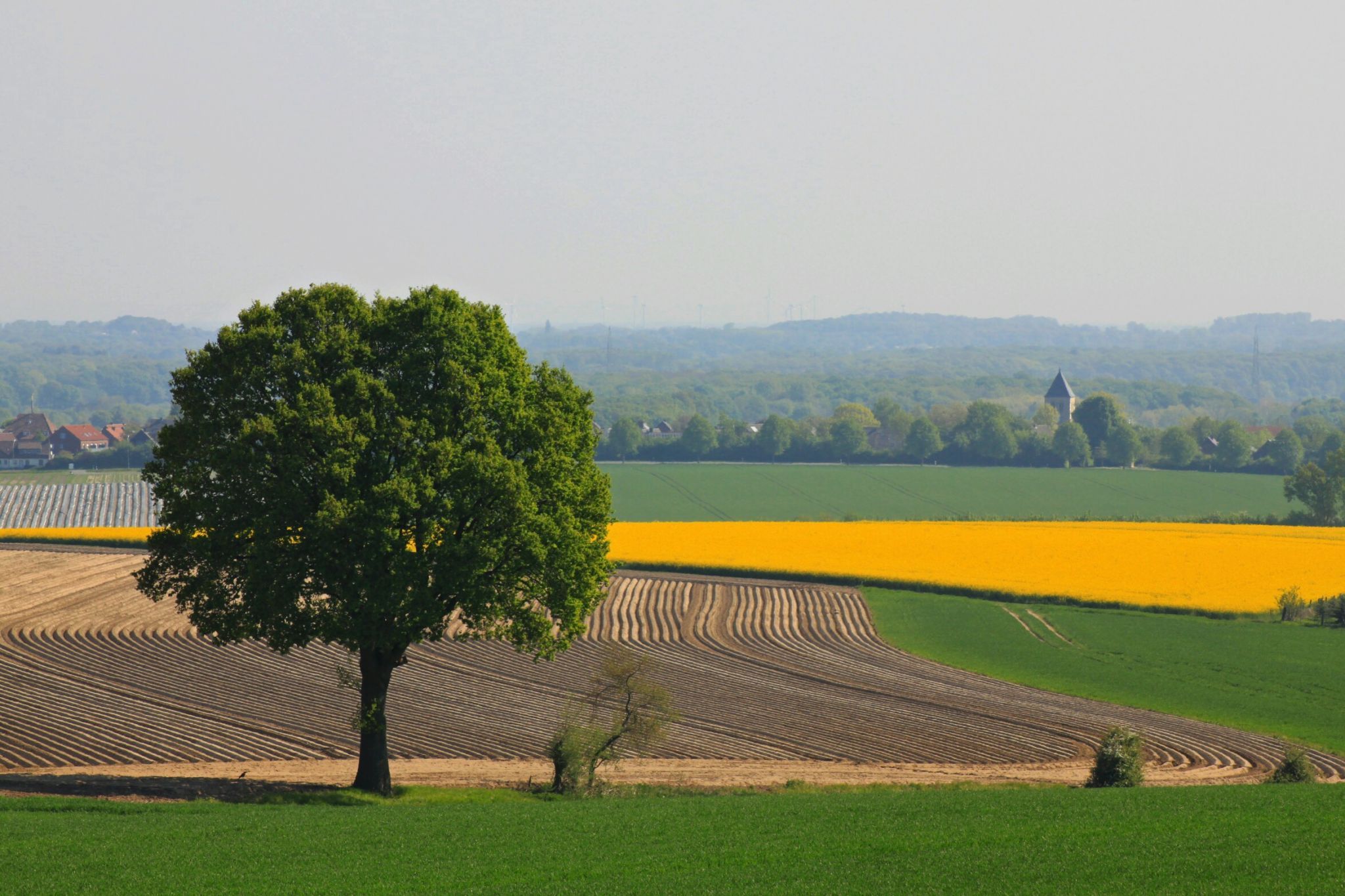 Blick von den Baumbergen auf Havixbeck, Germany