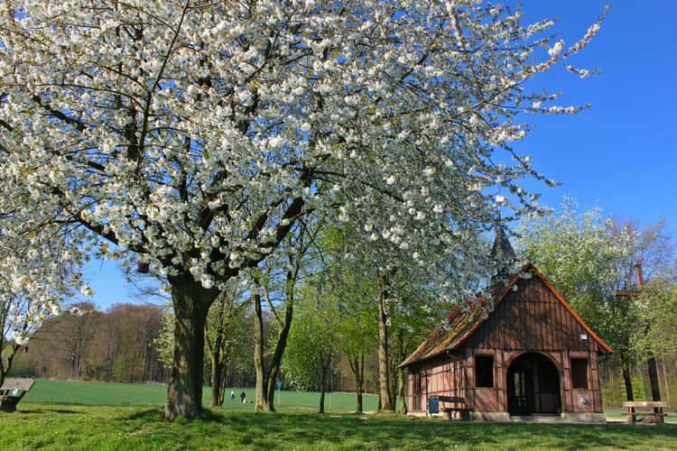 Brother Claus Chapel on the Baumberg