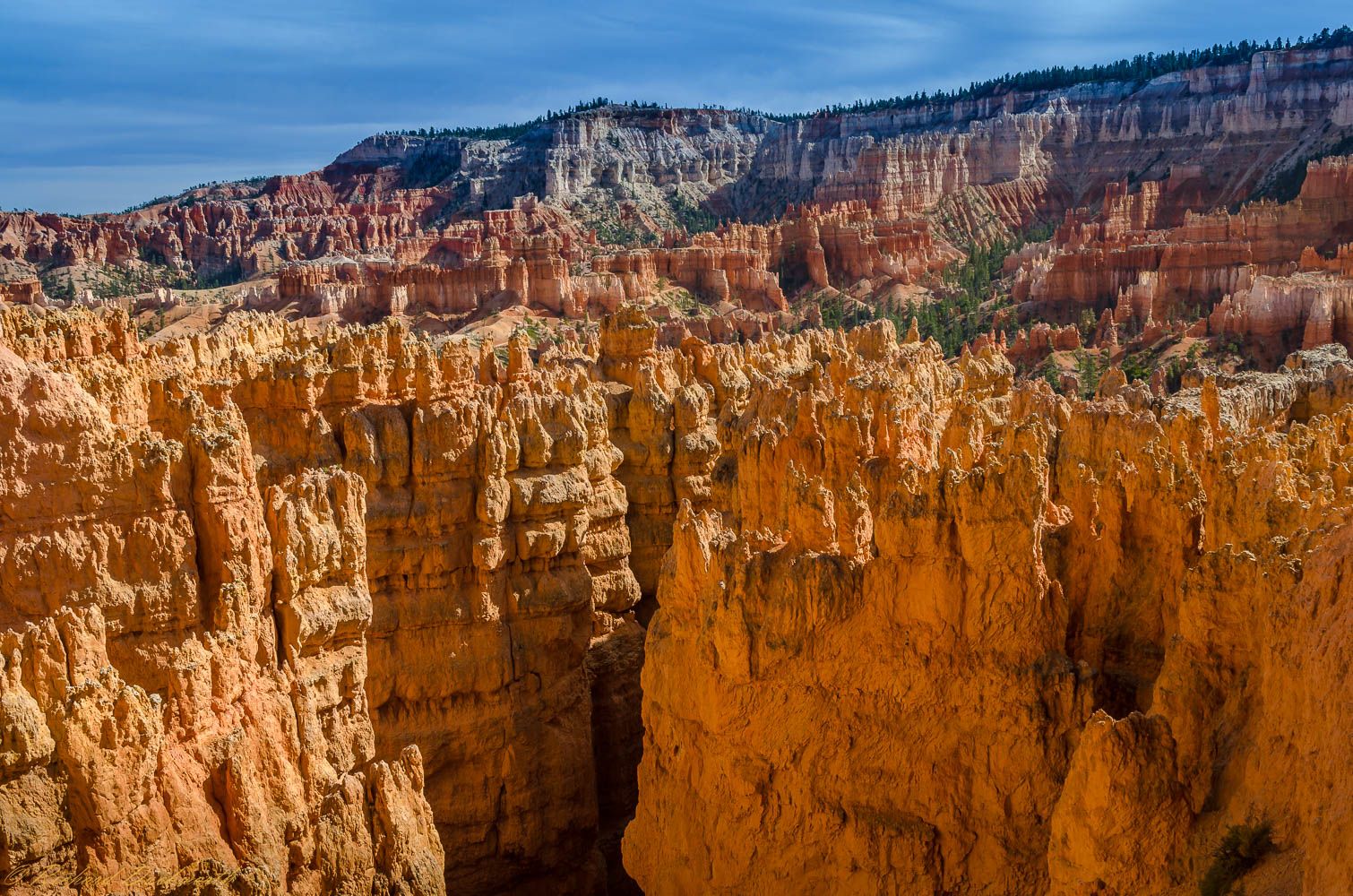 Bryce Canyon National Park, USA