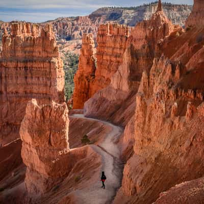 Bryce Canyon National Park, USA