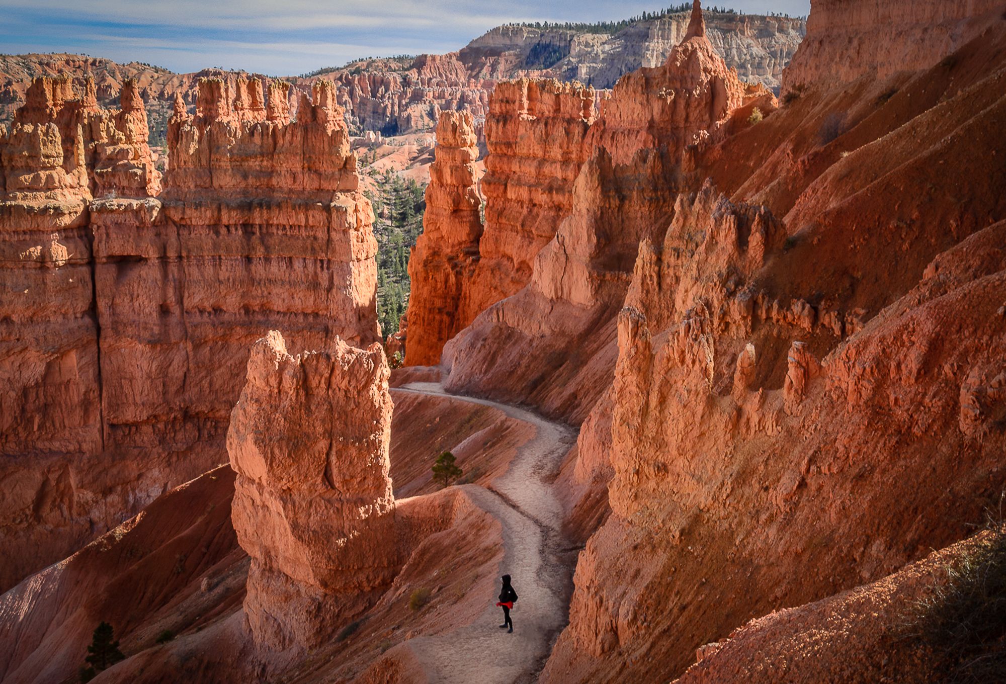 Bryce Canyon National Park, USA