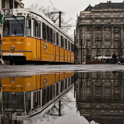 Budapest Hungary, Parliament, Hungary