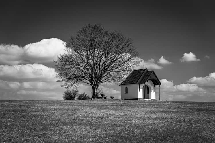 Chapel with Peach Tree