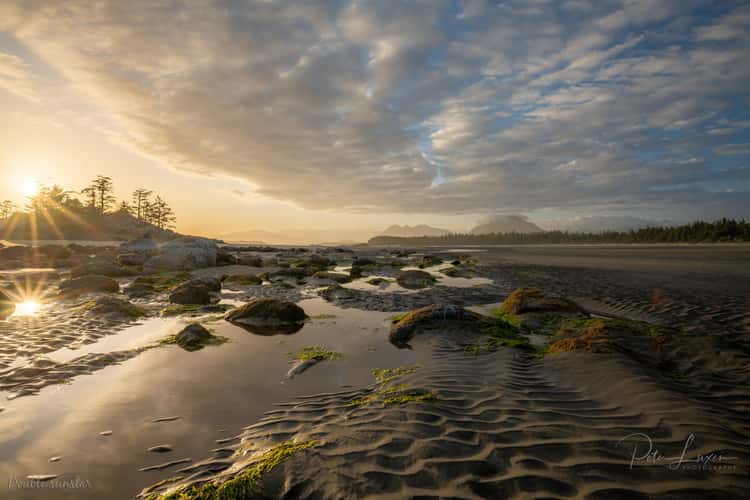 Chesterman Beach