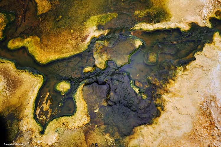 Chromatic Pool - Yellowstone National Park