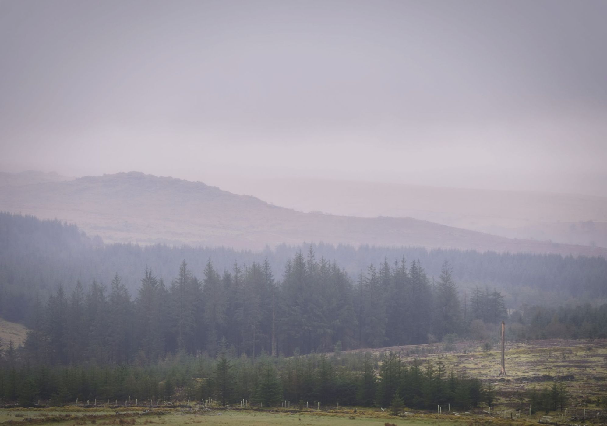 Dartmoor, United Kingdom