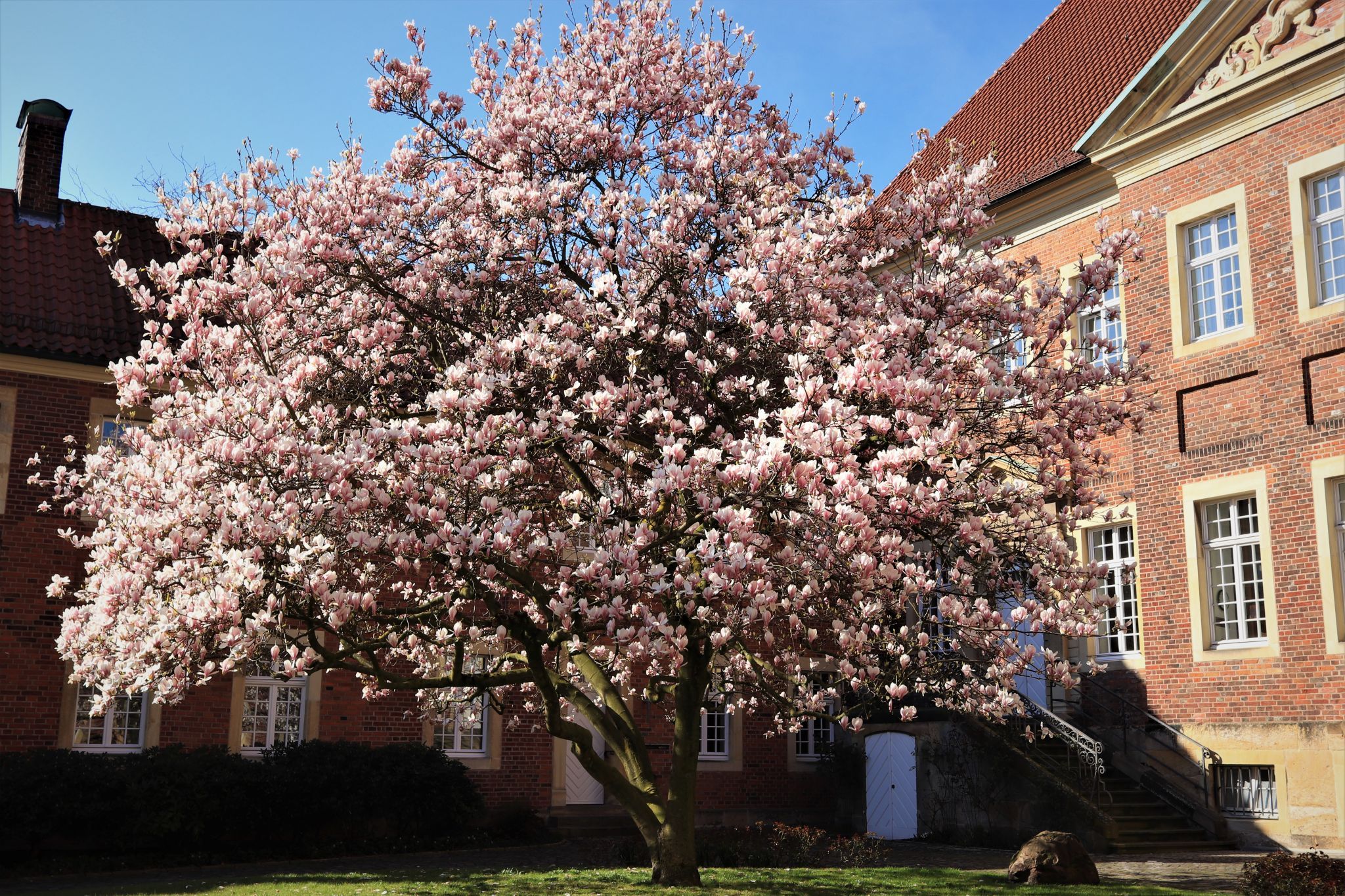 Dompfarramt, Germany