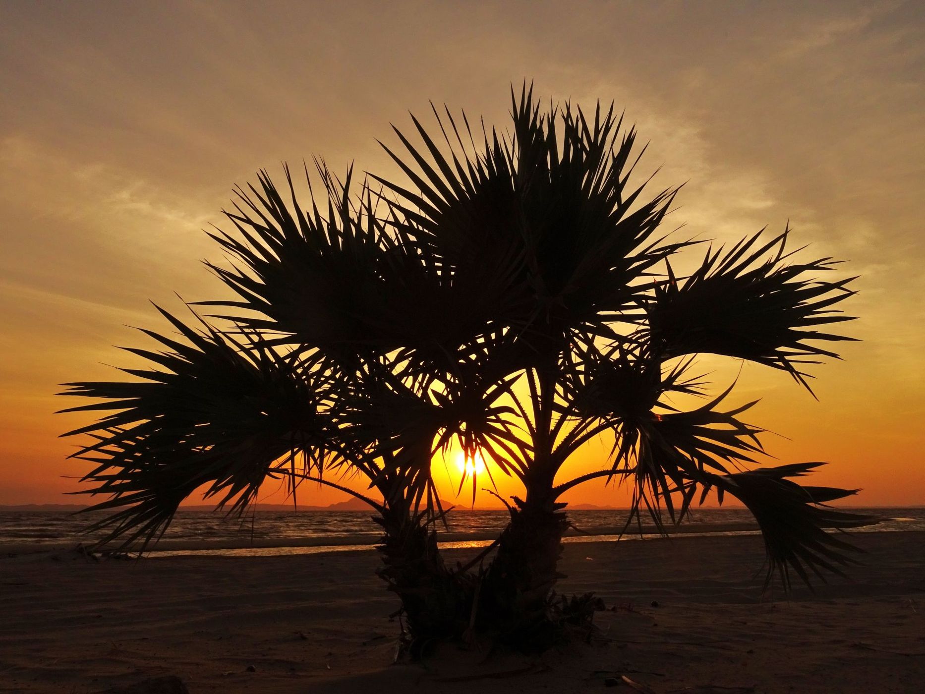 Eliye Springs beach, Kenya
