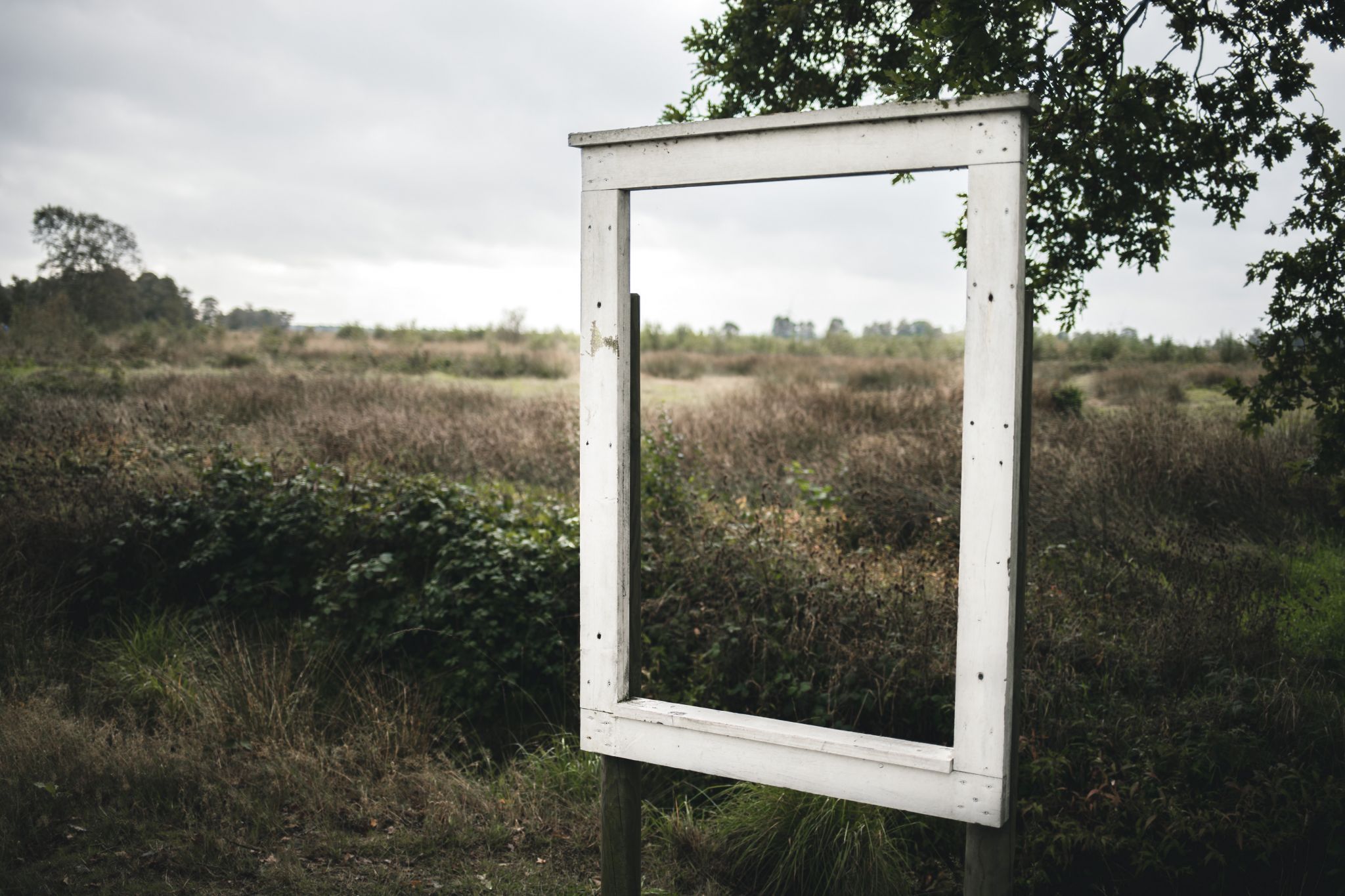 Ewiges Meer Ostfriesland (Eversmeer), Germany