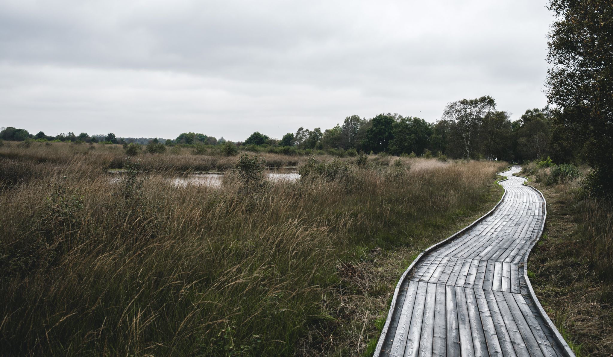 Ewiges Meer Ostfriesland (Eversmeer), Germany