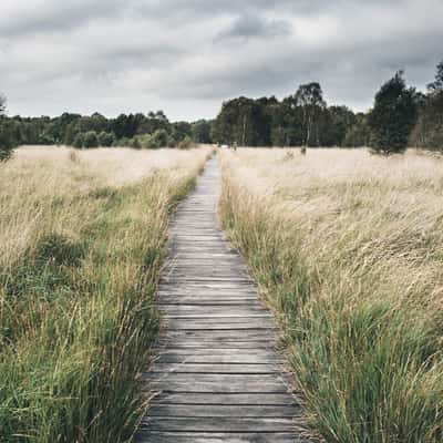 Ewiges Meer Ostfriesland (Eversmeer), Germany