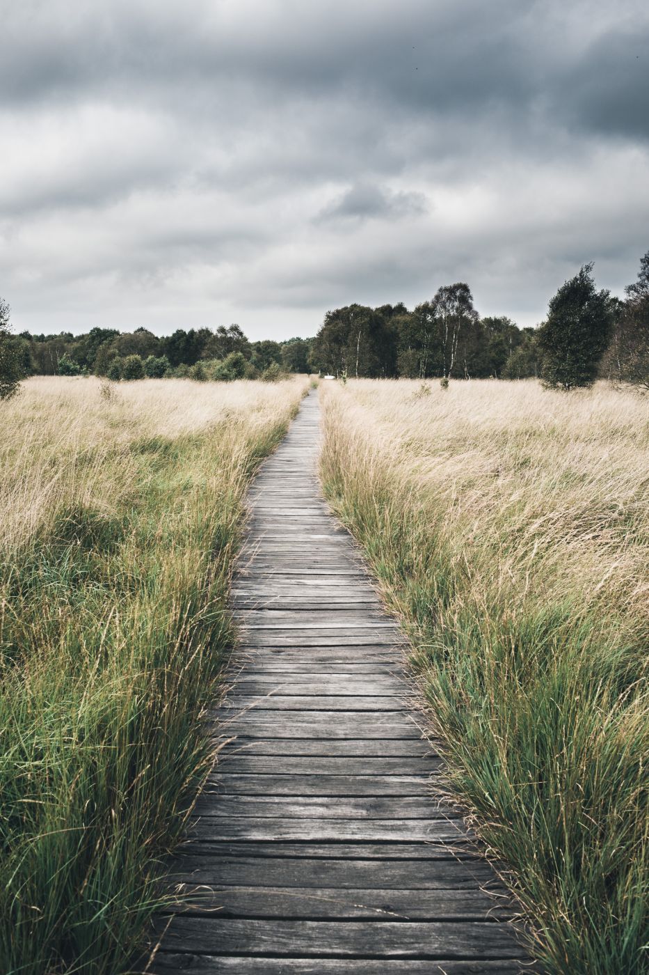 Ewiges Meer Ostfriesland (Eversmeer), Germany