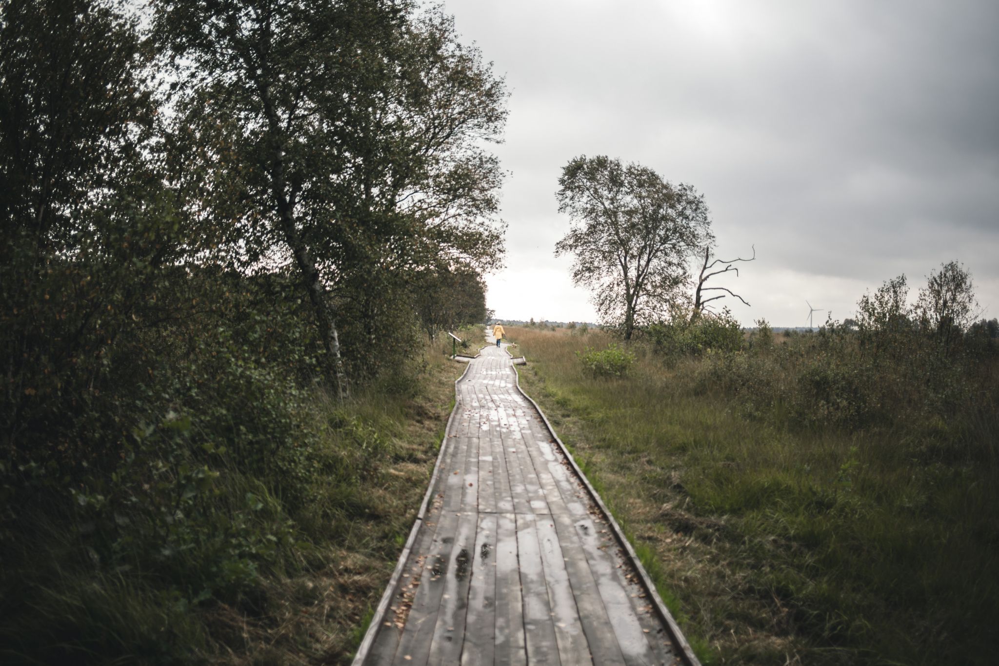 Ewiges Meer Ostfriesland (Eversmeer), Germany