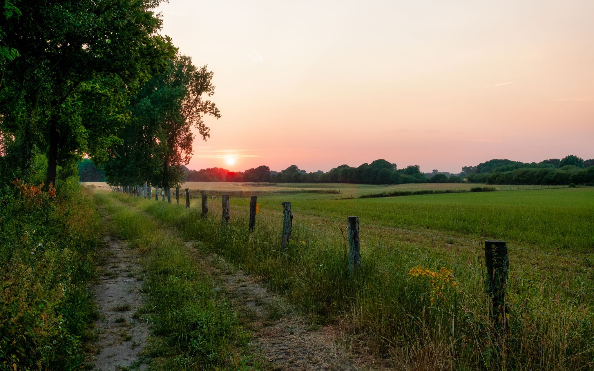 Gelmer, Germany