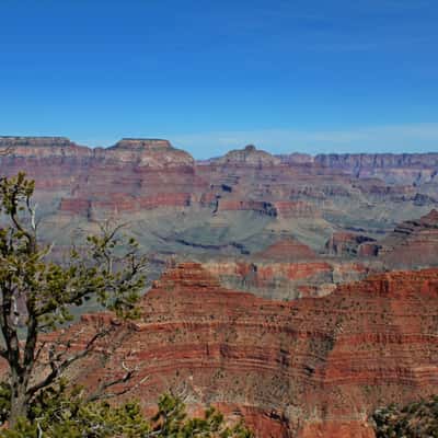 Grand Canyon, am Yavapai Point, USA