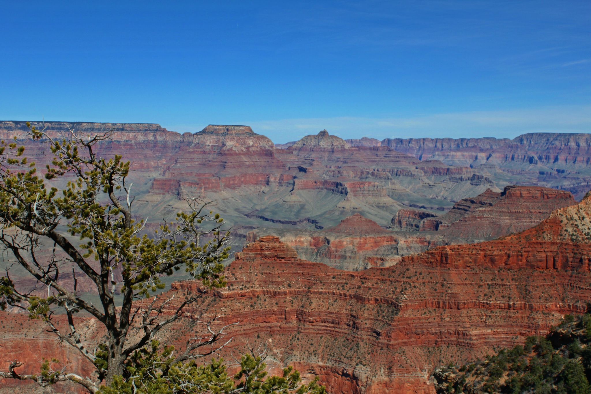 Grand Canyon, am Yavapai Point, USA